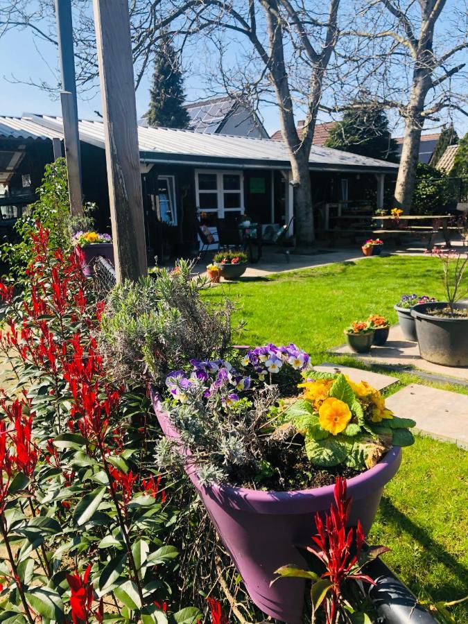 B &B Yuupke Maasbree Noord-Limburg Venlo Roermond Bed & Breakfast Ngoại thất bức ảnh