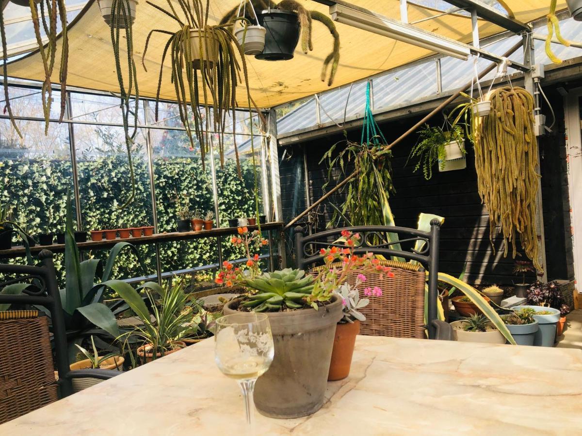 B &B Yuupke Maasbree Noord-Limburg Venlo Roermond Bed & Breakfast Ngoại thất bức ảnh