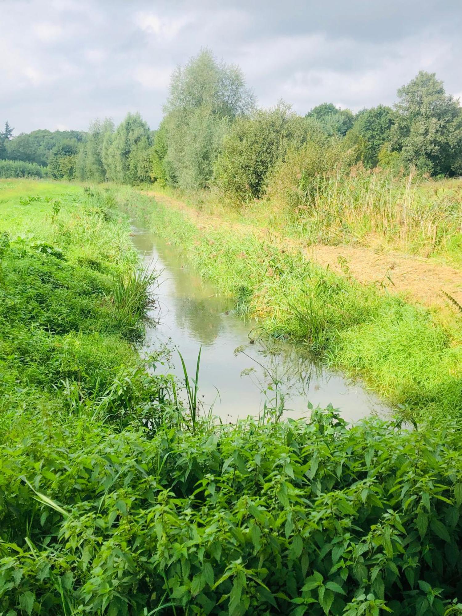 B &B Yuupke Maasbree Noord-Limburg Venlo Roermond Bed & Breakfast Ngoại thất bức ảnh