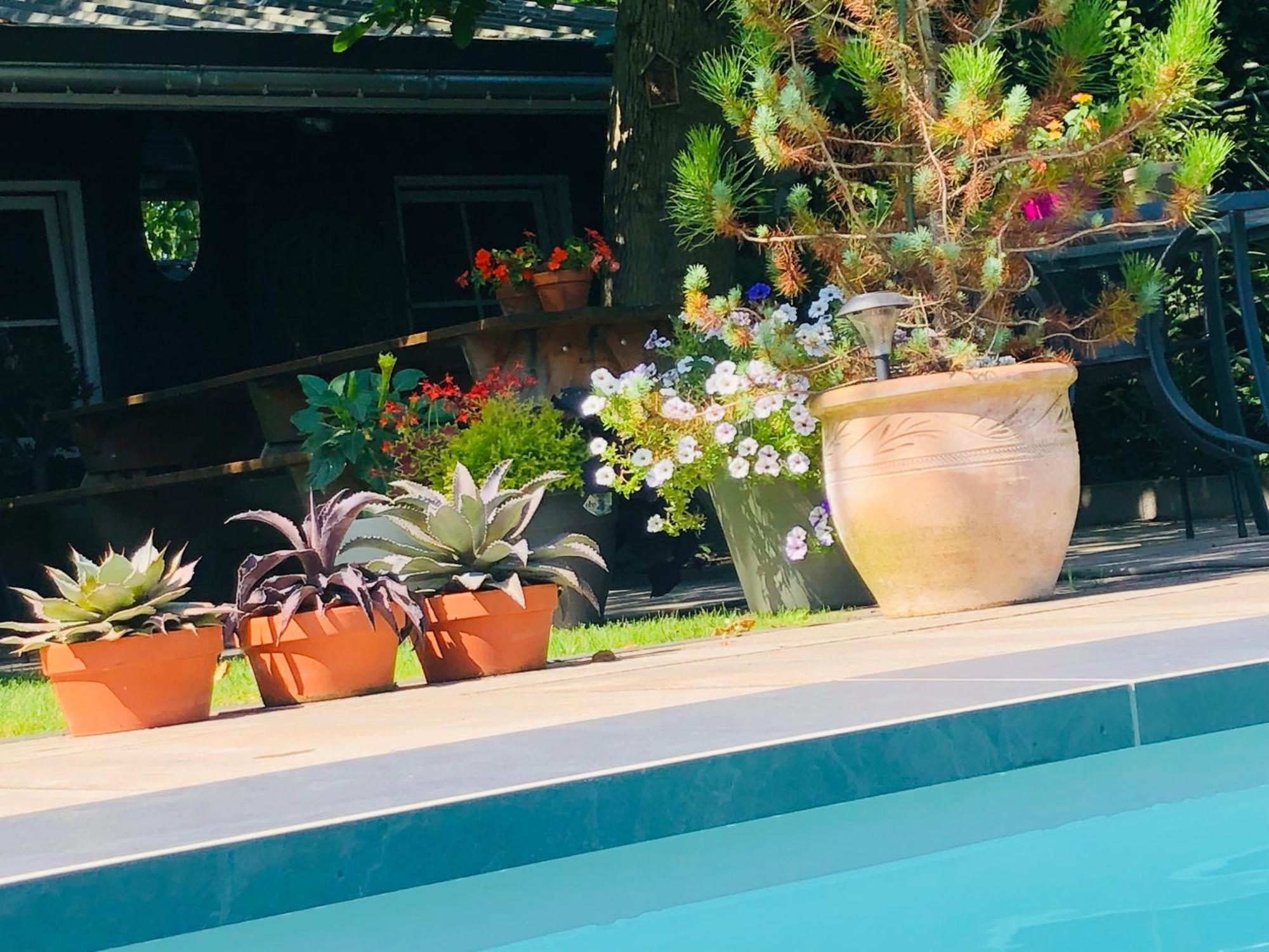 B &B Yuupke Maasbree Noord-Limburg Venlo Roermond Bed & Breakfast Ngoại thất bức ảnh